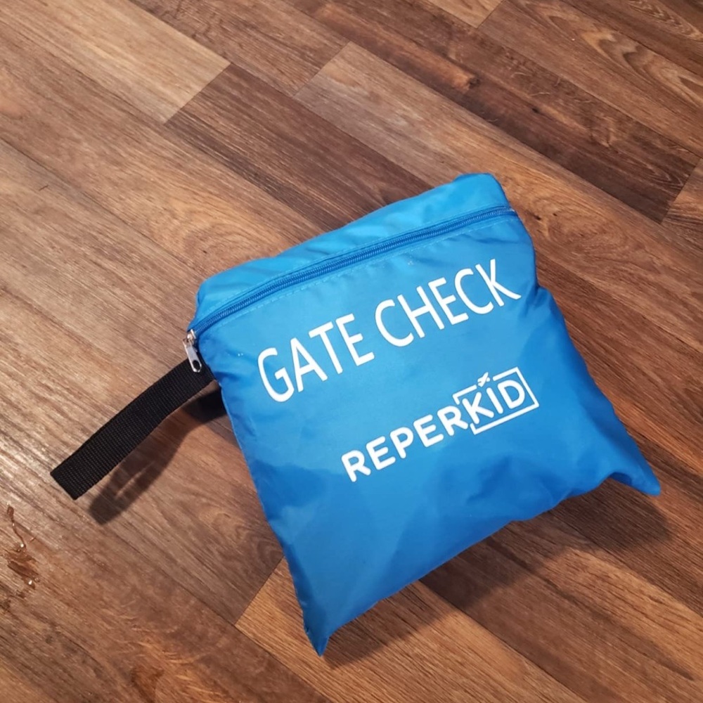 Sky Blue Gate Check Travel Pouch